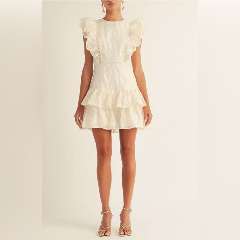 Arose Studio Emily Textured Lace Ruffle Mini Dress Ivory Size S